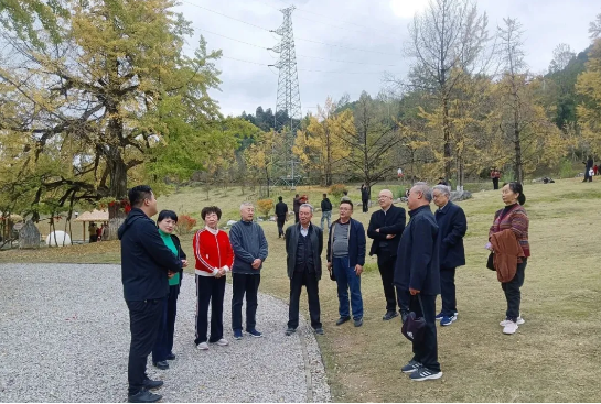 截图-2025年10月31日 14时32分22秒.png