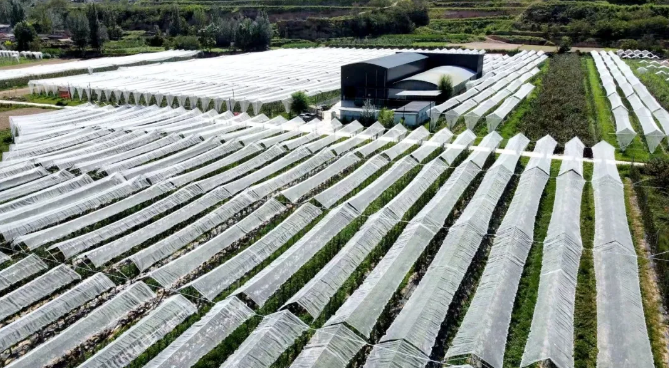 截图-2025年10月31日 17时6分55秒.png