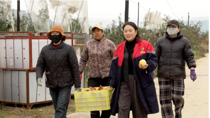 截图-2025年10月31日 17时7分14秒.png