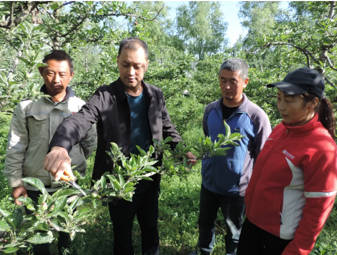 截图-2025年11月5日 16时6分47秒.png