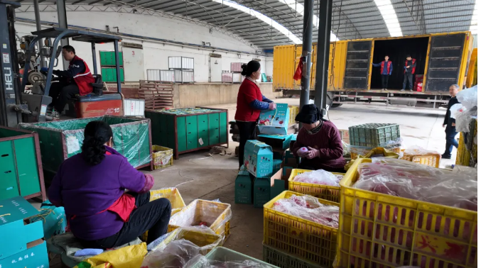 截图-2025年11月5日 16时6分58秒.png