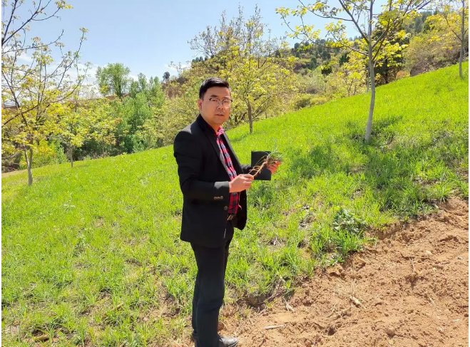 截图-2025年11月26日 15时21分57秒.png 截图-2025年11月26日 15时21分57秒.png