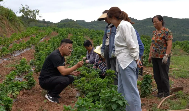 截图-2025年11月26日 15时22分22秒.png 截图-2025年11月26日 15时22分22秒.png