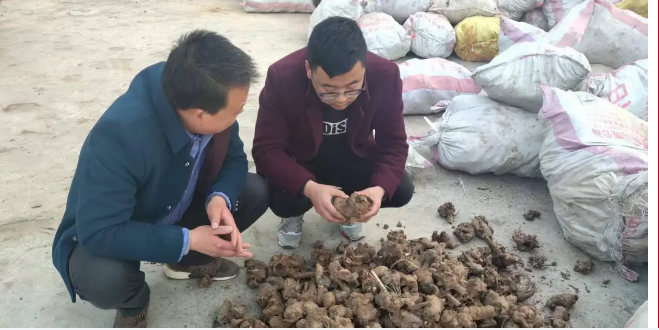 截图-2025年11月26日 15时22分33秒.png 截图-2025年11月26日 15时22分33秒.png