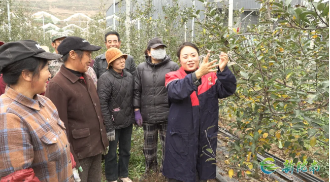 截图-2025年11月26日 15时32分11秒.png 截图-2025年11月26日 15时32分11秒.png