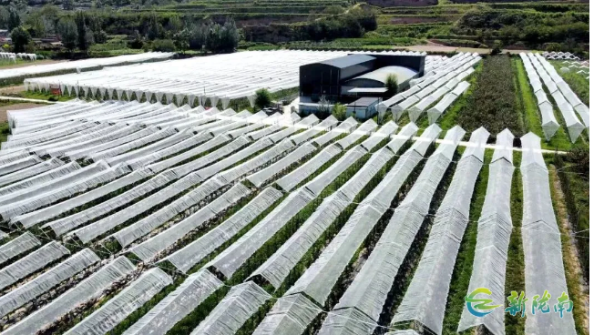 截图-2025年11月26日 15时32分31秒.png 截图-2025年11月26日 15时32分31秒.png