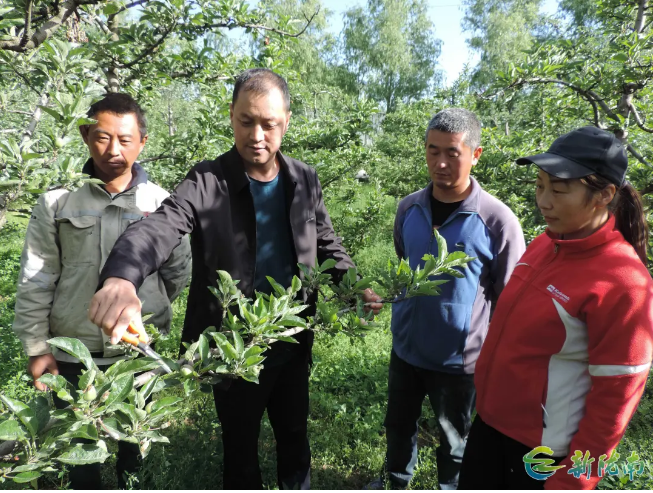 截图-2025年12月3日 11时26分6秒.png 截图-2025年12月3日 11时26分6秒.png