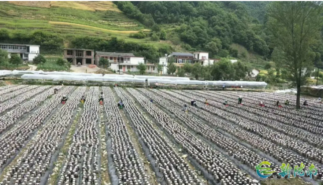 截图-2025年12月5日 9时8分5秒.png 截图-2025年12月5日 9时8分5秒.png