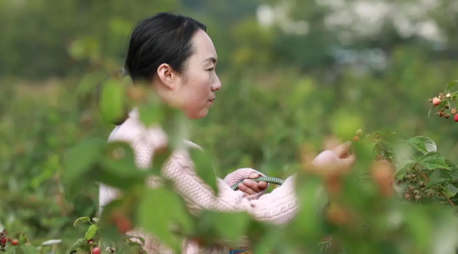 截图-2025年12月10日 15时25分16秒.png 截图-2025年12月10日 15时25分16秒.png