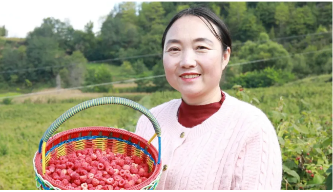 截图-2025年12月10日 15时25分37秒.png 截图-2025年12月10日 15时25分37秒.png