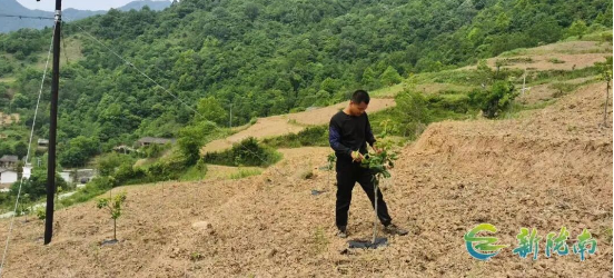 截图-2025年12月11日 15时2分52秒.png 截图-2025年12月11日 15时2分52秒.png