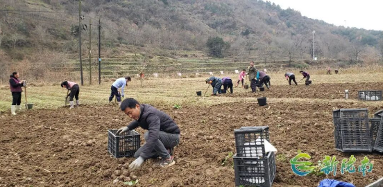 截图-2025年12月11日 15时3分5秒.png 截图-2025年12月11日 15时3分5秒.png