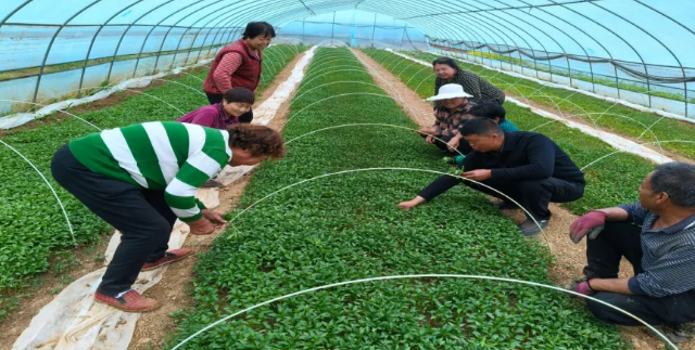 截图-2025年12月18日 11时32分17秒.png 截图-2025年12月18日 11时32分17秒.png