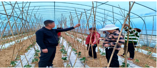 截图-2025年12月18日 11时32分25秒.png 截图-2025年12月18日 11时32分25秒.png